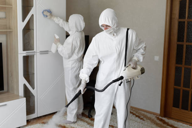 Best Mold Removal and Inspection  in Solana, FL